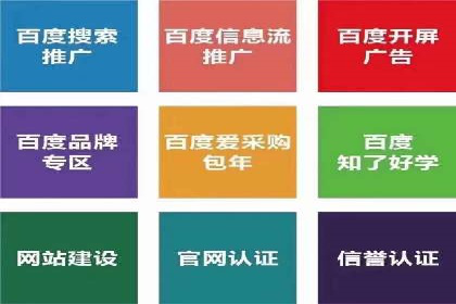 SEM竞价托管代运营助力转化率提升